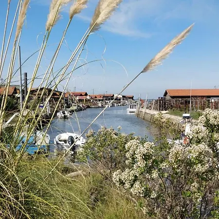 Joli T2 Dans Petite Avec Vue Port La Teste-de-Buch