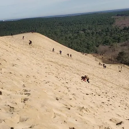 Daire Joli T2 Dans Petite Avec Vue Port *