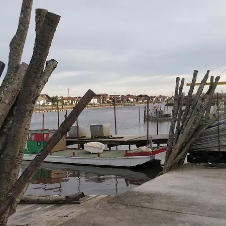 Daire Joli T2 Dans Petite Avec Vue Port