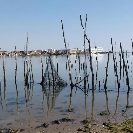 Joli T2 Dans Petite Avec Vue Port Daire